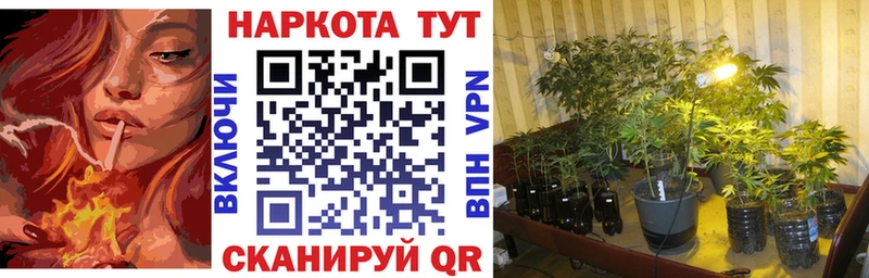 Виды наркоты Ирбит A-PVP Меф мяу мяу Гашиш МАРИХУАНА