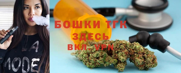 шишки Алексин
