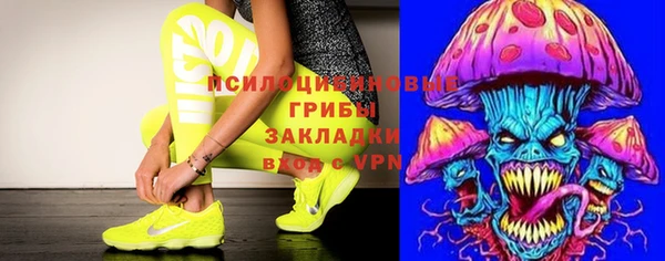 стаф Абаза