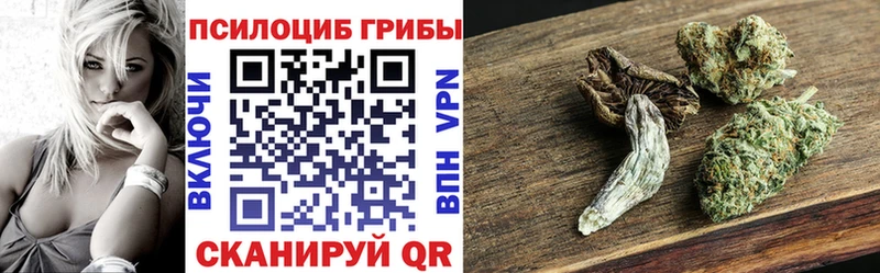 Псилоцибиновые грибы прущие грибы купить наркотик Ирбит