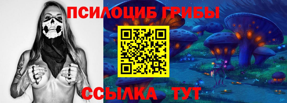 Галлюциногенные грибы Cubensis  Галлюциногенные грибы Cubensis  Вход с VPN  Ирбит 